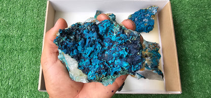 Lot 6 Chrysocolla on Quartz