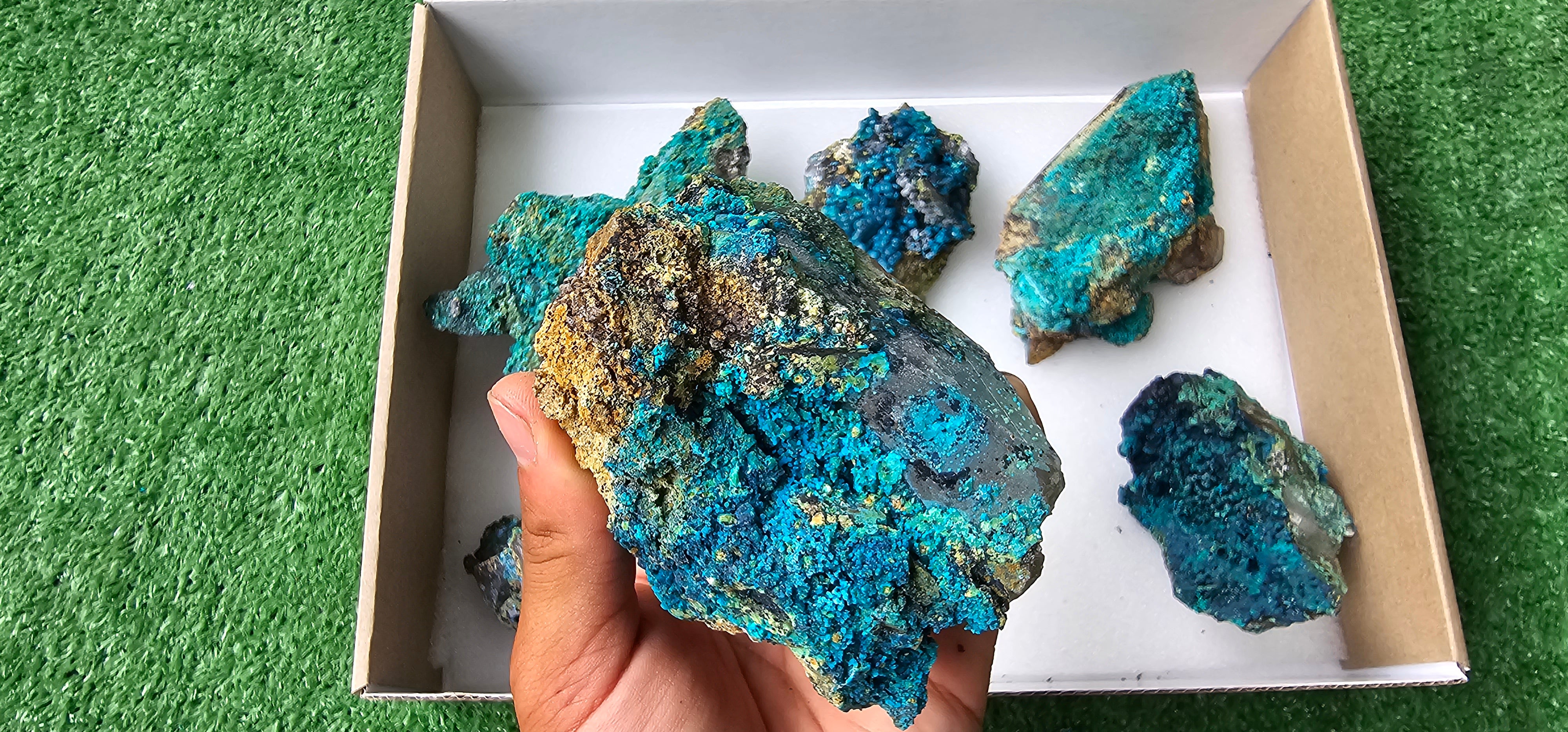 Lot 6 Chrysocolla on Quartz