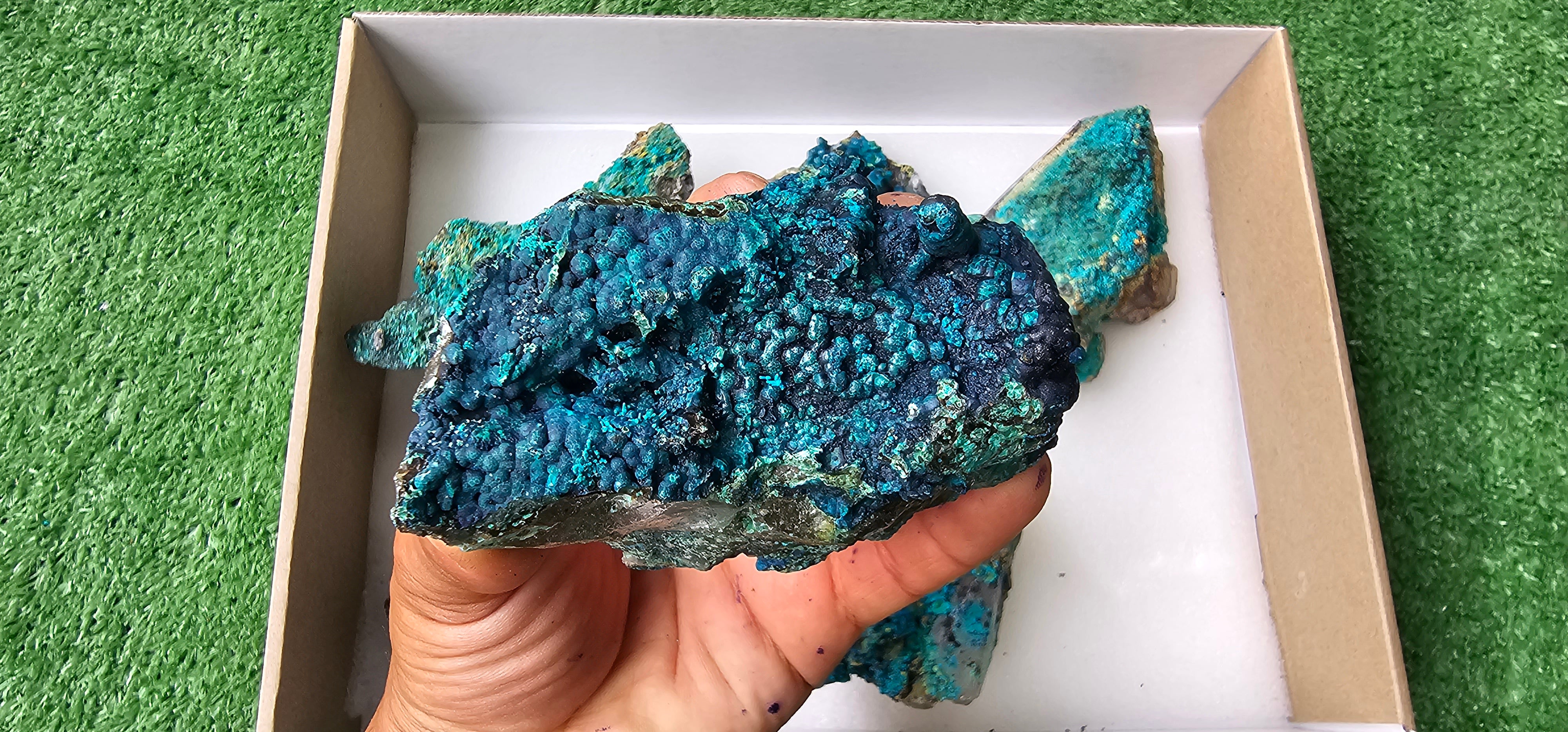 Lot 6 Chrysocolla on Quartz