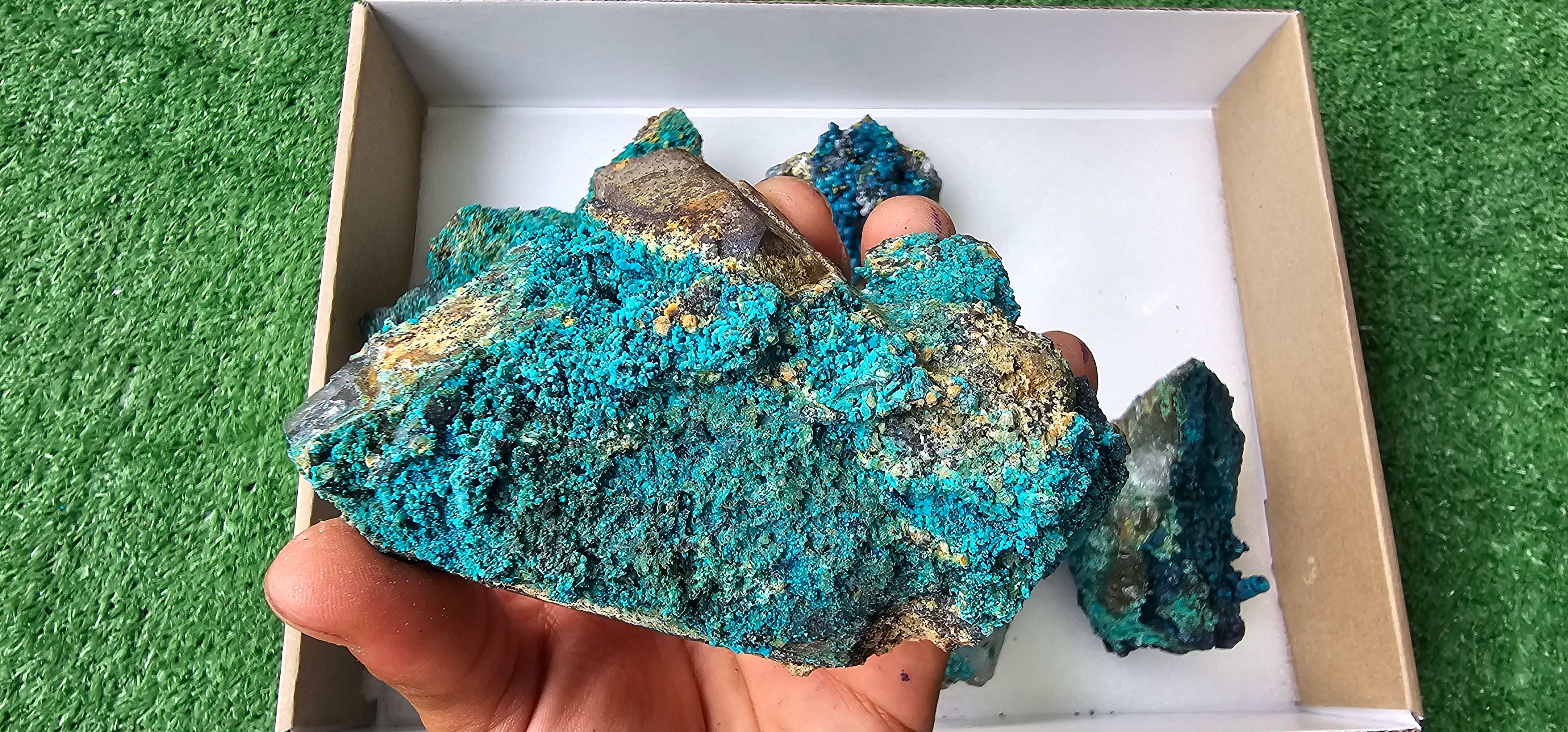 Lot 6 Chrysocolla on Quartz