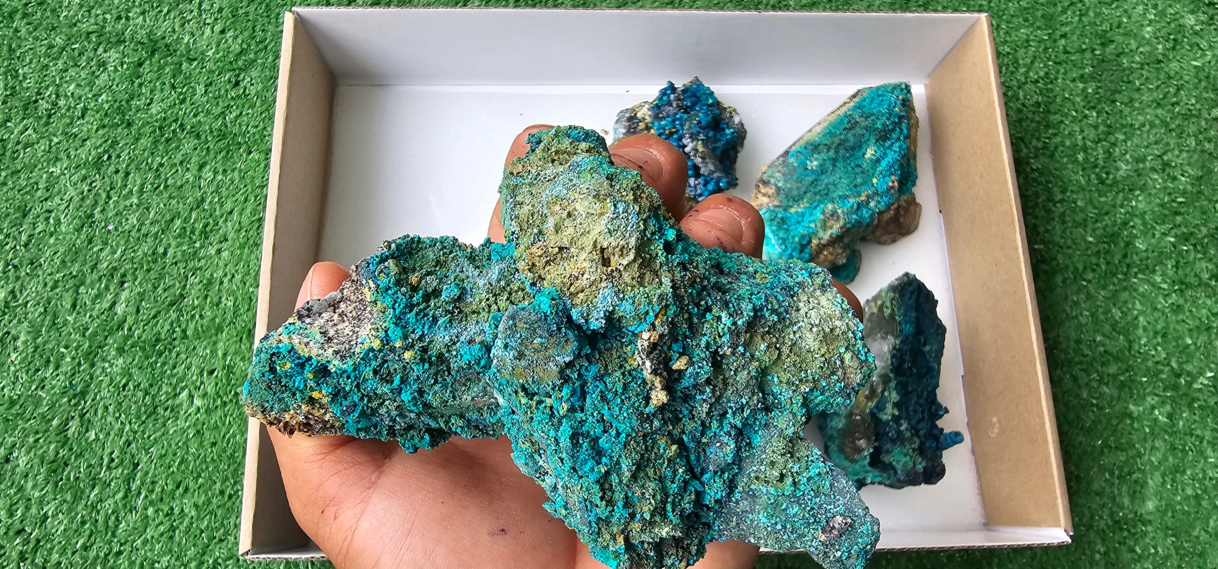 Lot 6 Chrysocolla on Quartz