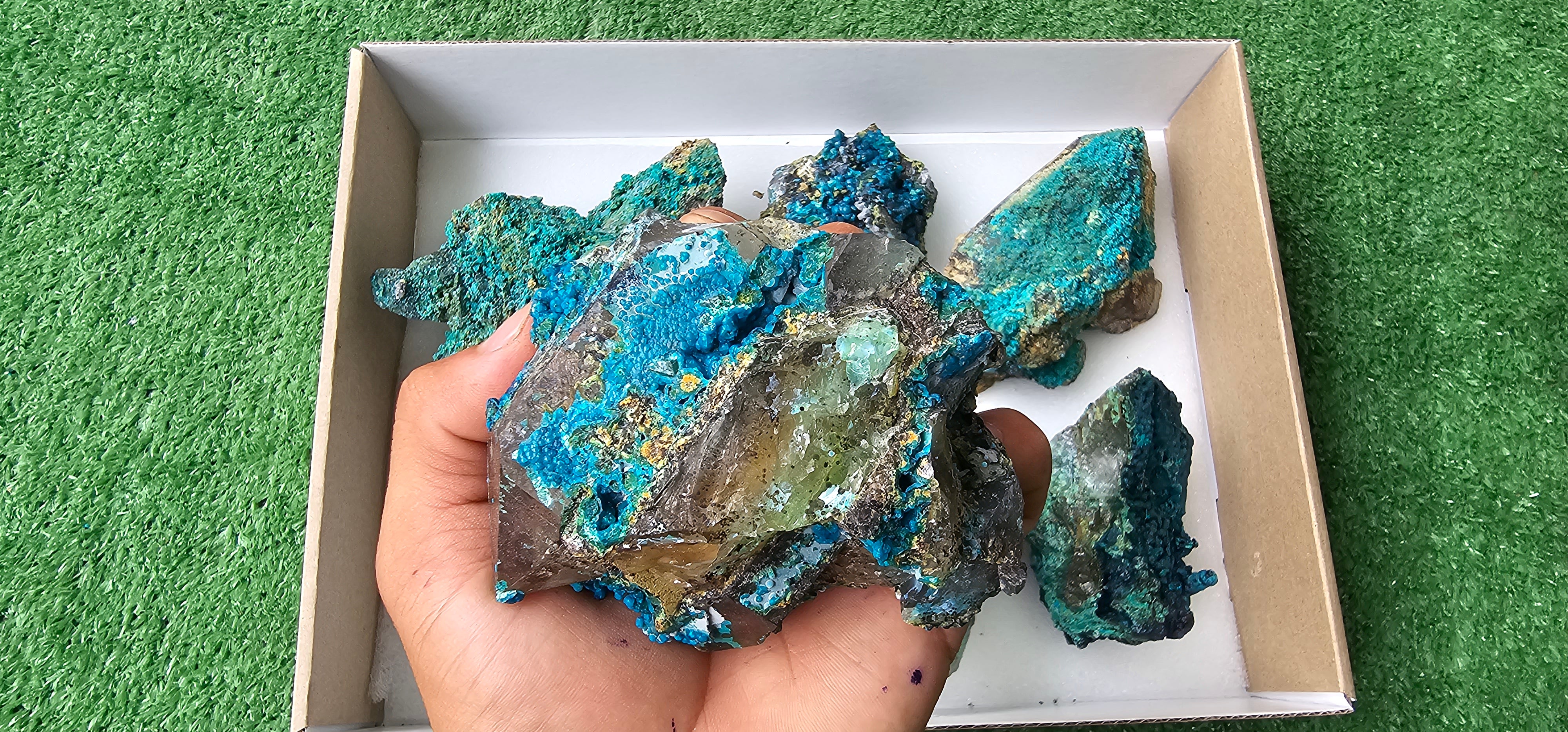 Lot 6 Chrysocolla on Quartz