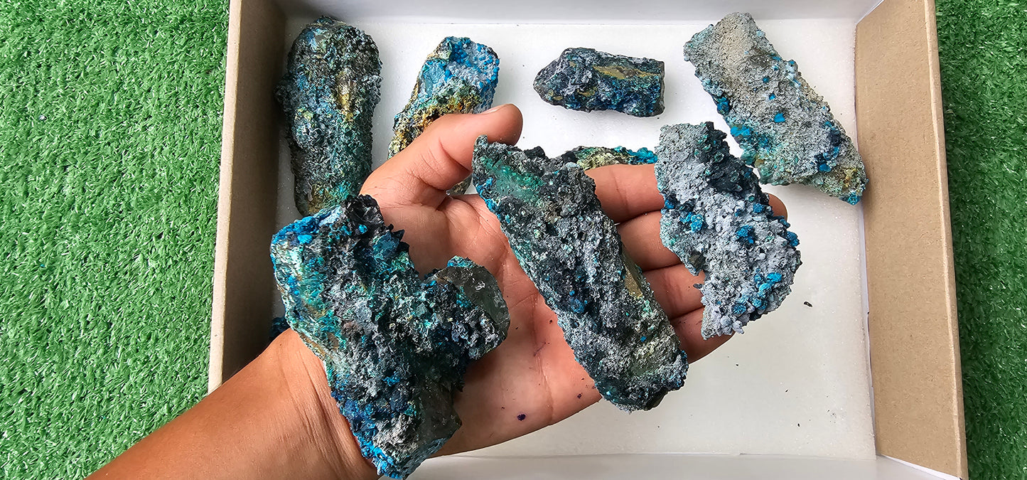 Lot 10 Chrysocolla on Quartz