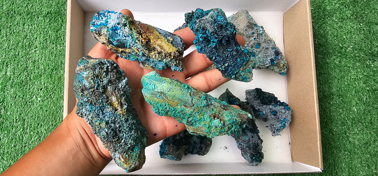 Lot 10 Chrysocolla on Quartz