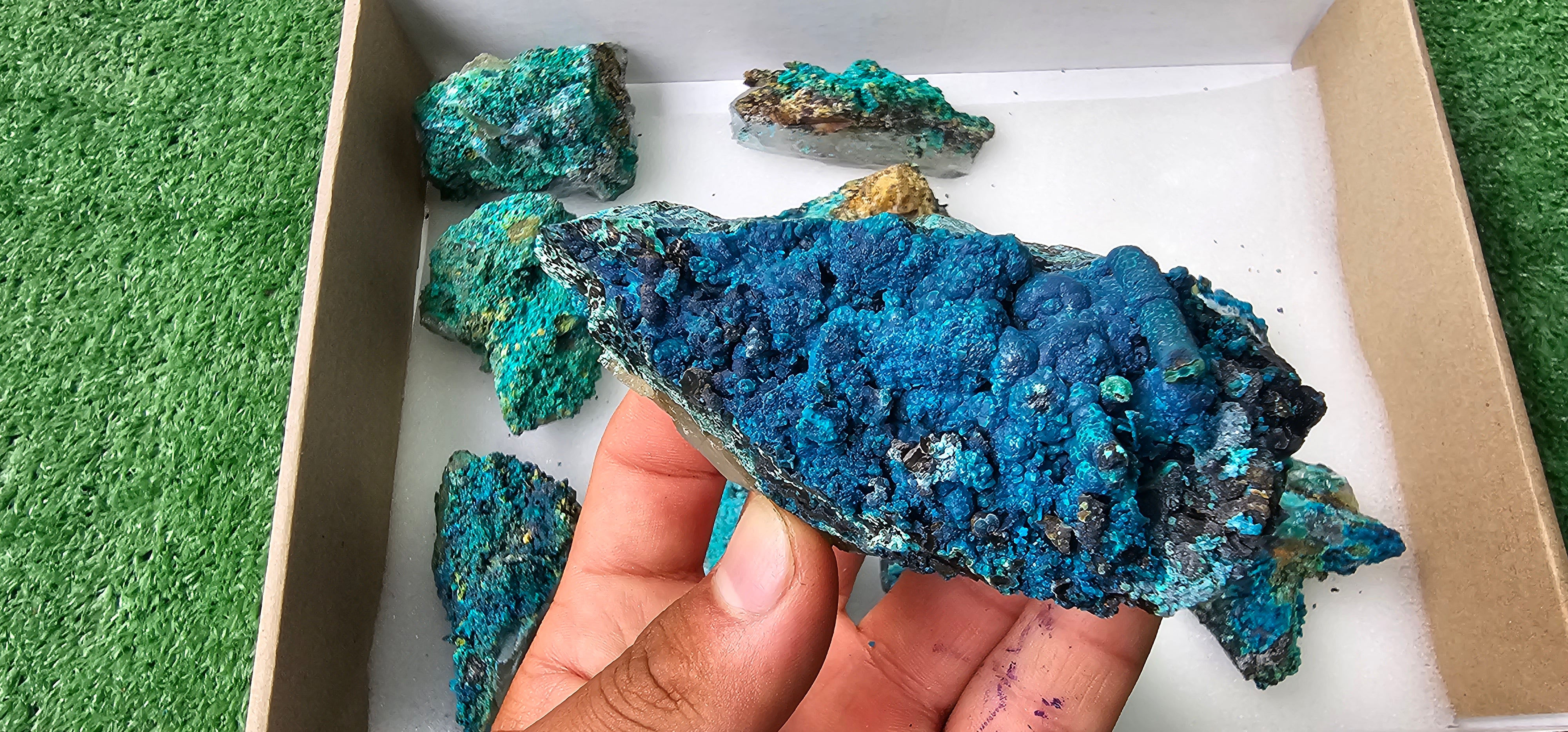 Lot 10 Chrysocolla on Quartz