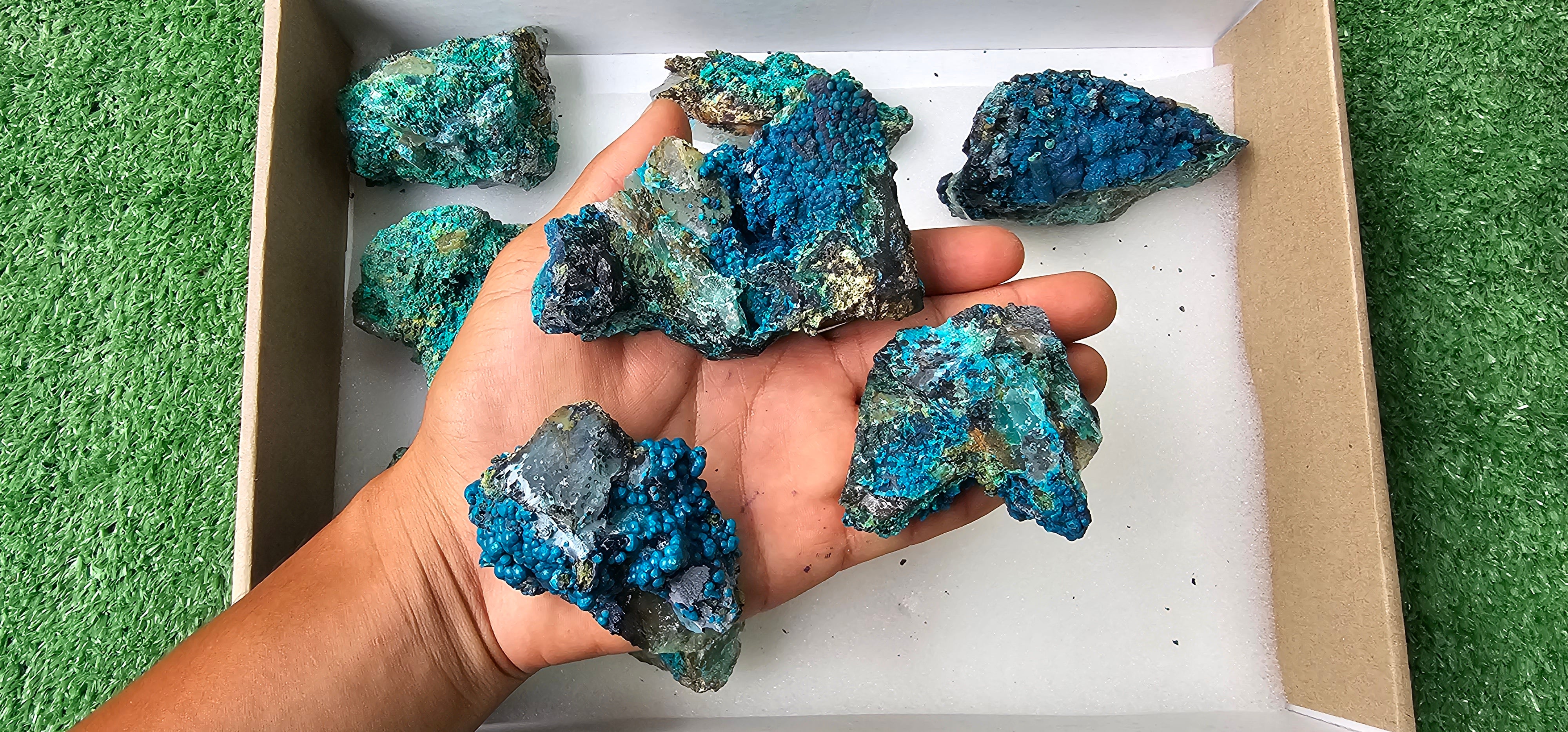 Lot 10 Chrysocolla on Quartz