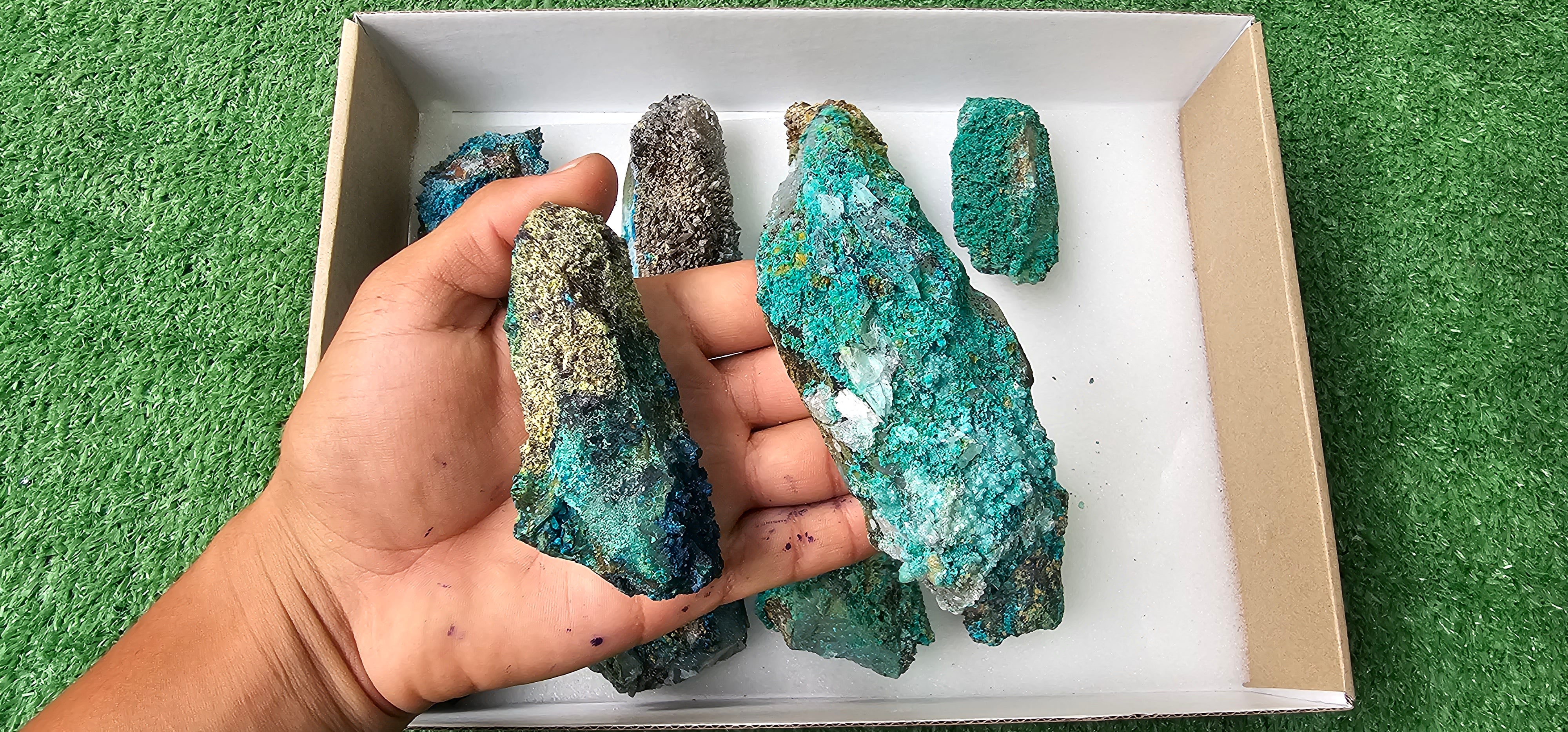 Lot 10 Chrysocolla on Quartz