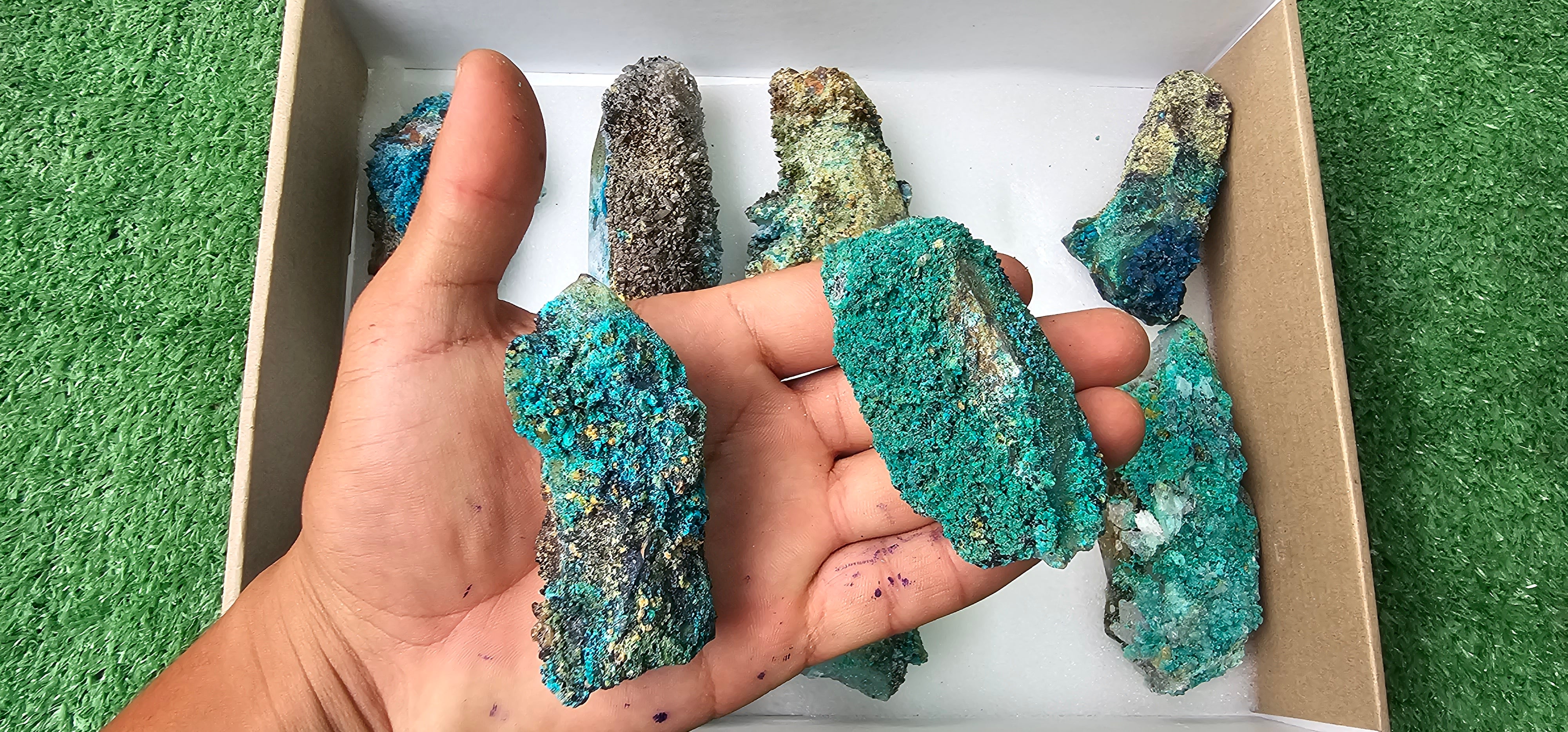 Lot 10 Chrysocolla on Quartz