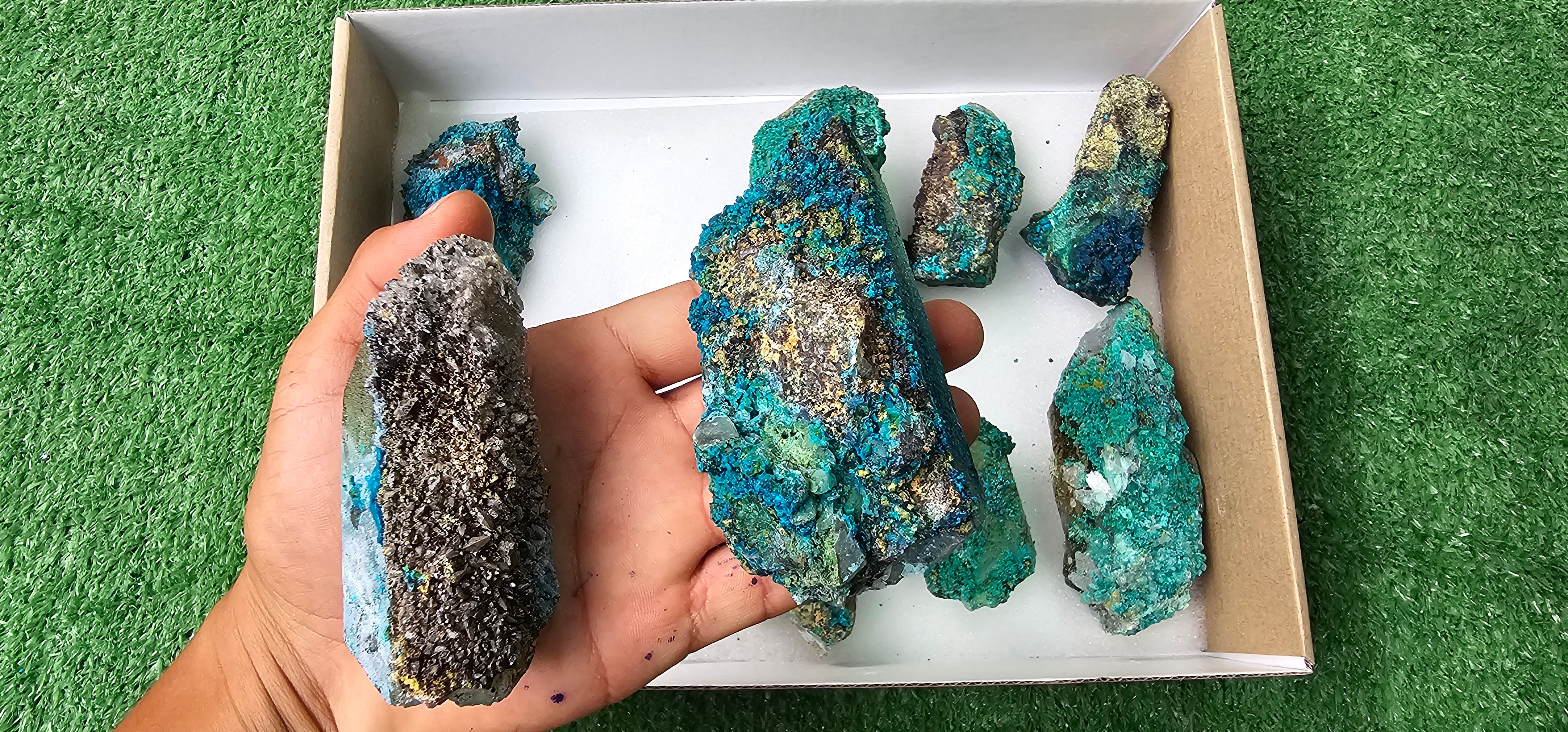 Lot 10 Chrysocolla on Quartz