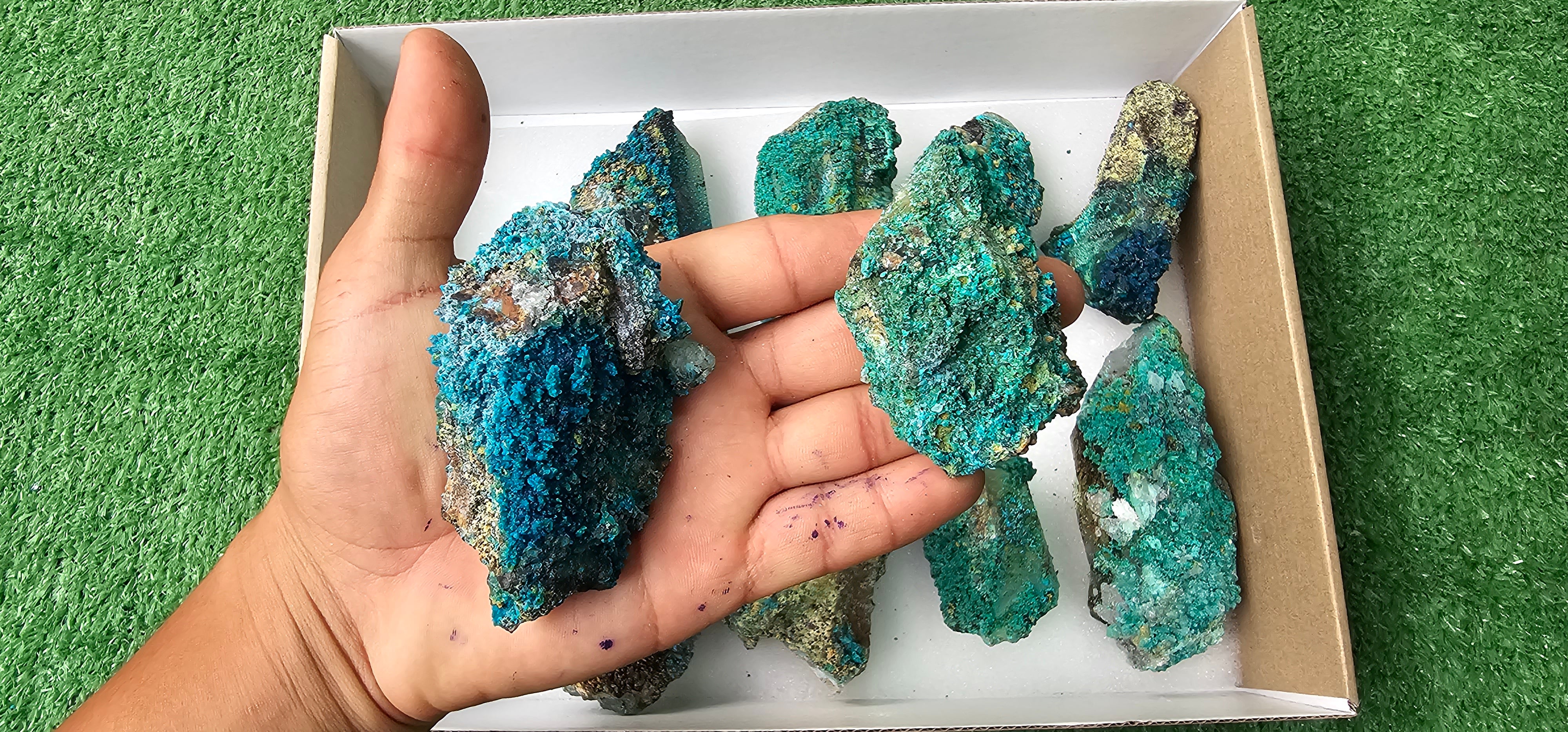 Lot 10 Chrysocolla on Quartz