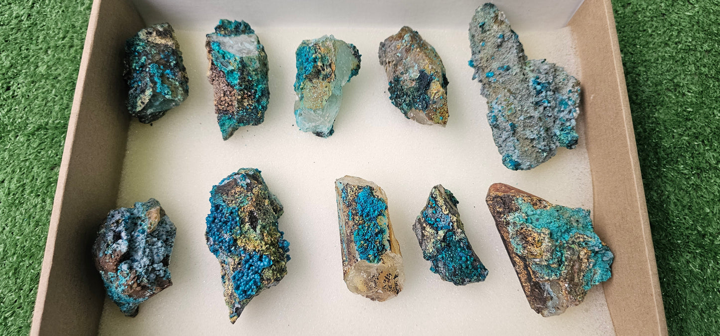 Lot 10 Chrysocolla on Quartz