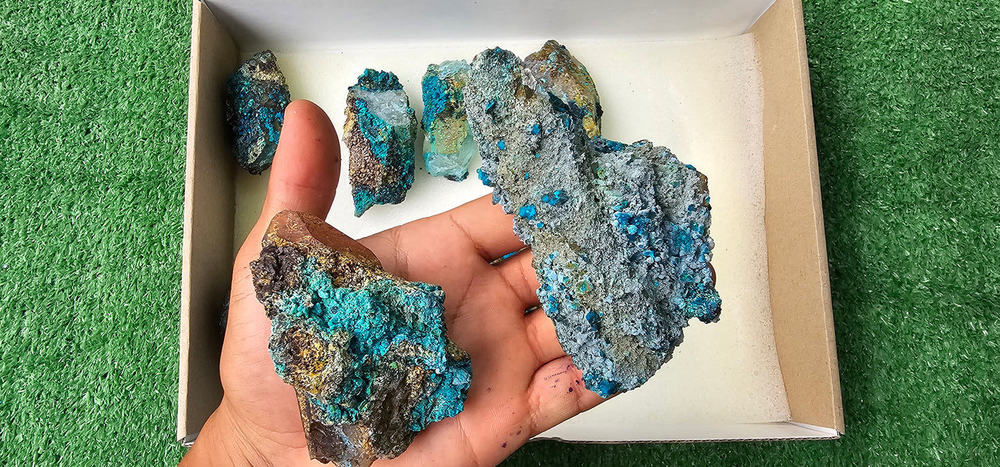 Lot 10 Chrysocolla on Quartz