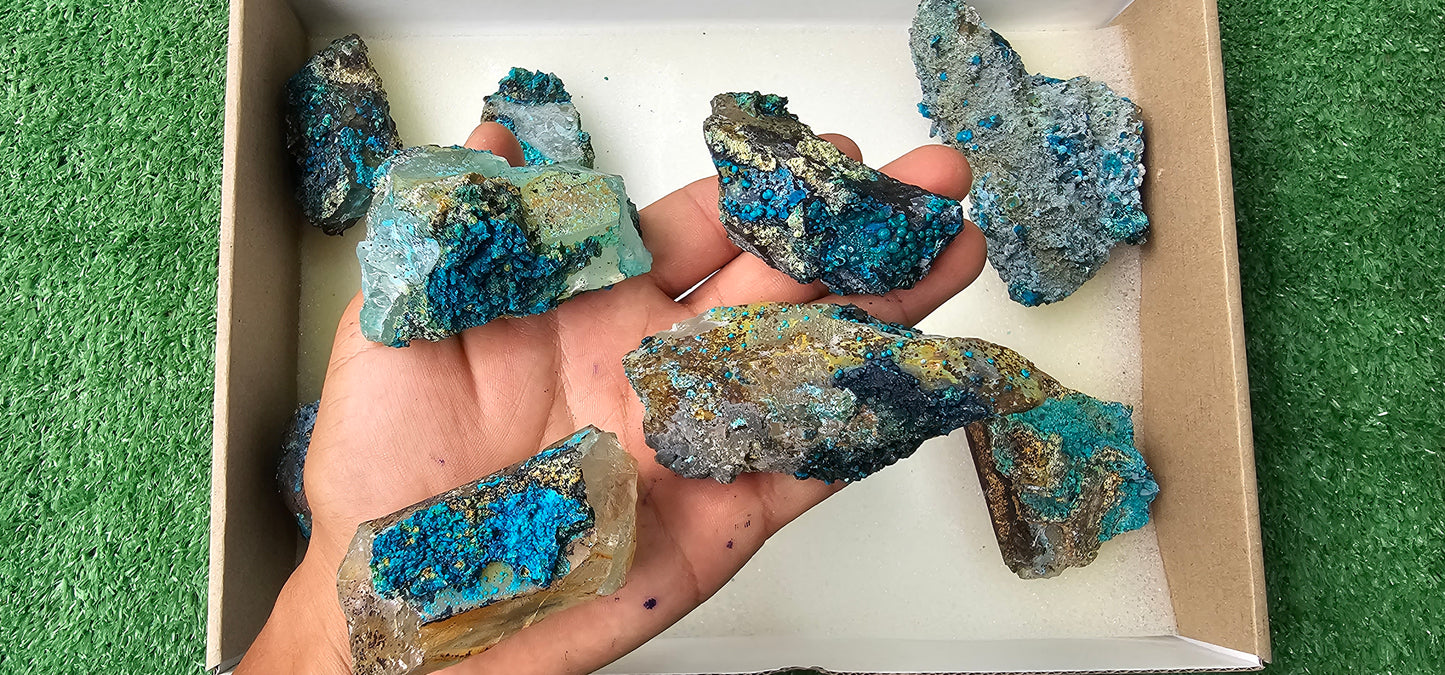 Lot 10 Chrysocolla on Quartz