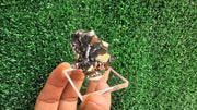 pyrite octahedral