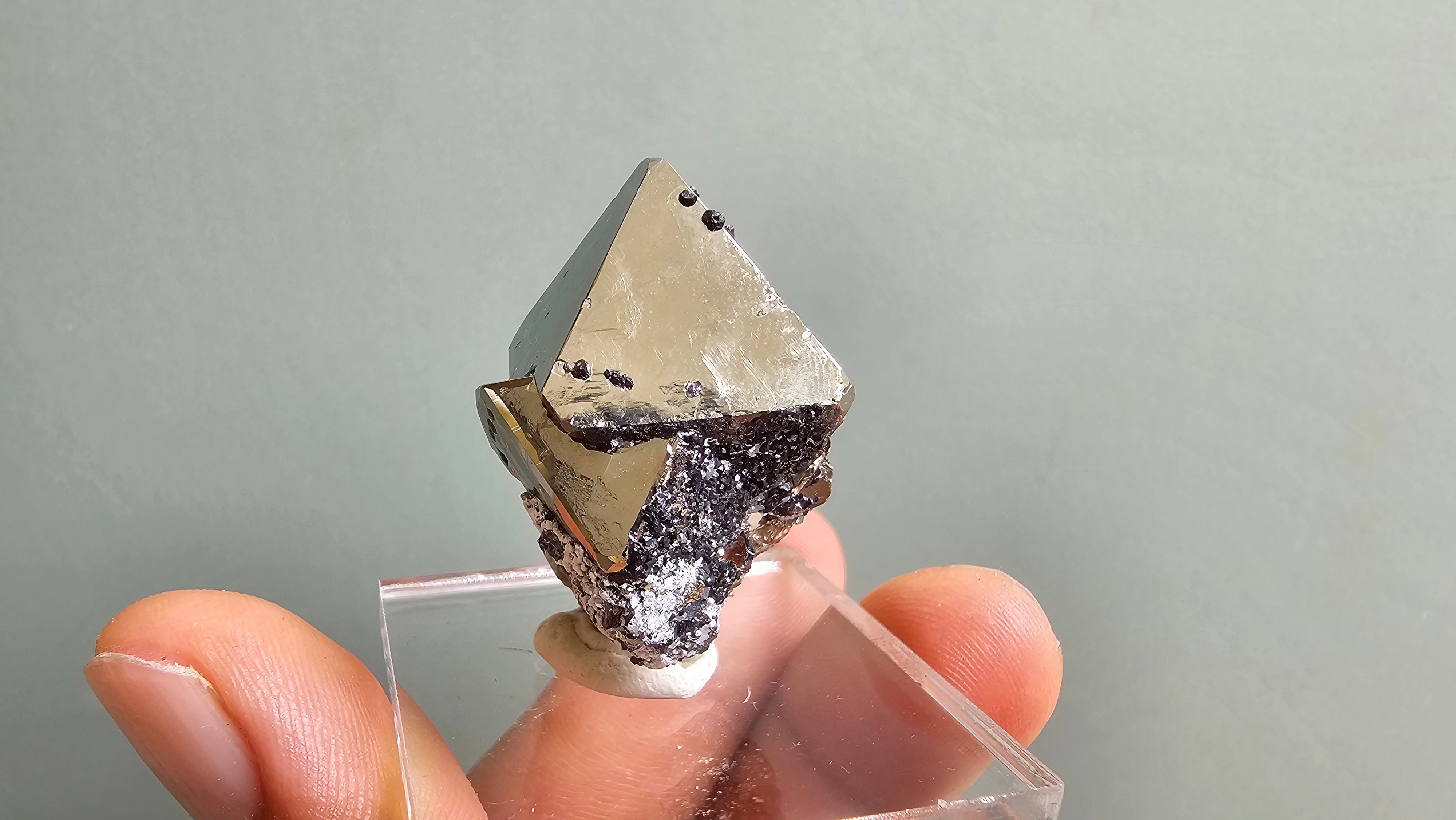 pyrite octahedral