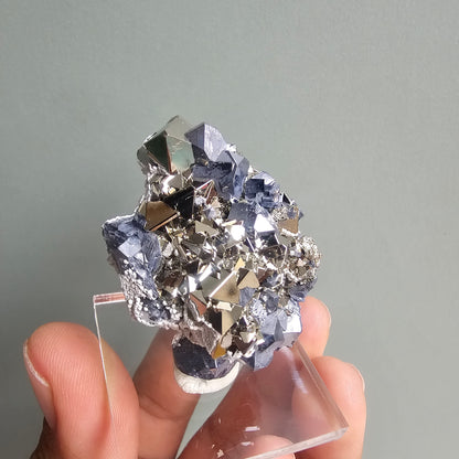 Galena with Pyrite octahedral