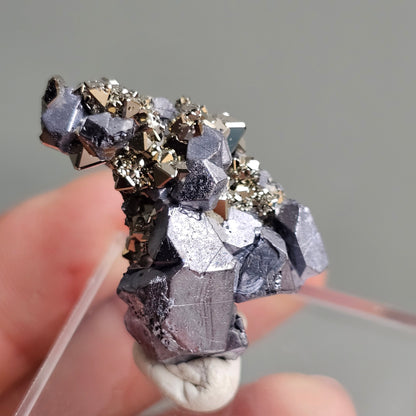 Galena with Pyrite octahedral