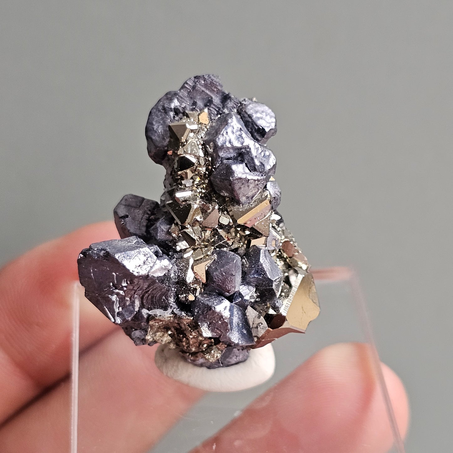 Galena with Pyrite octahedral