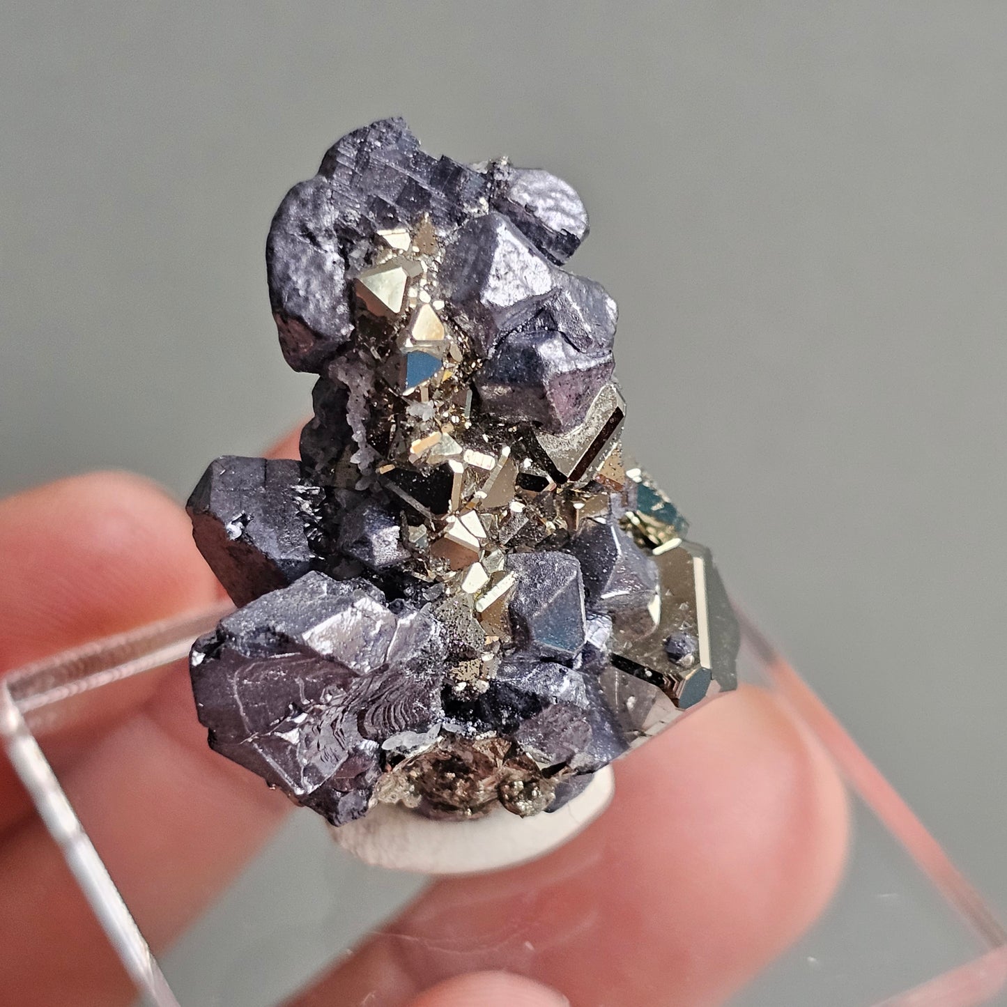 Galena with Pyrite octahedral