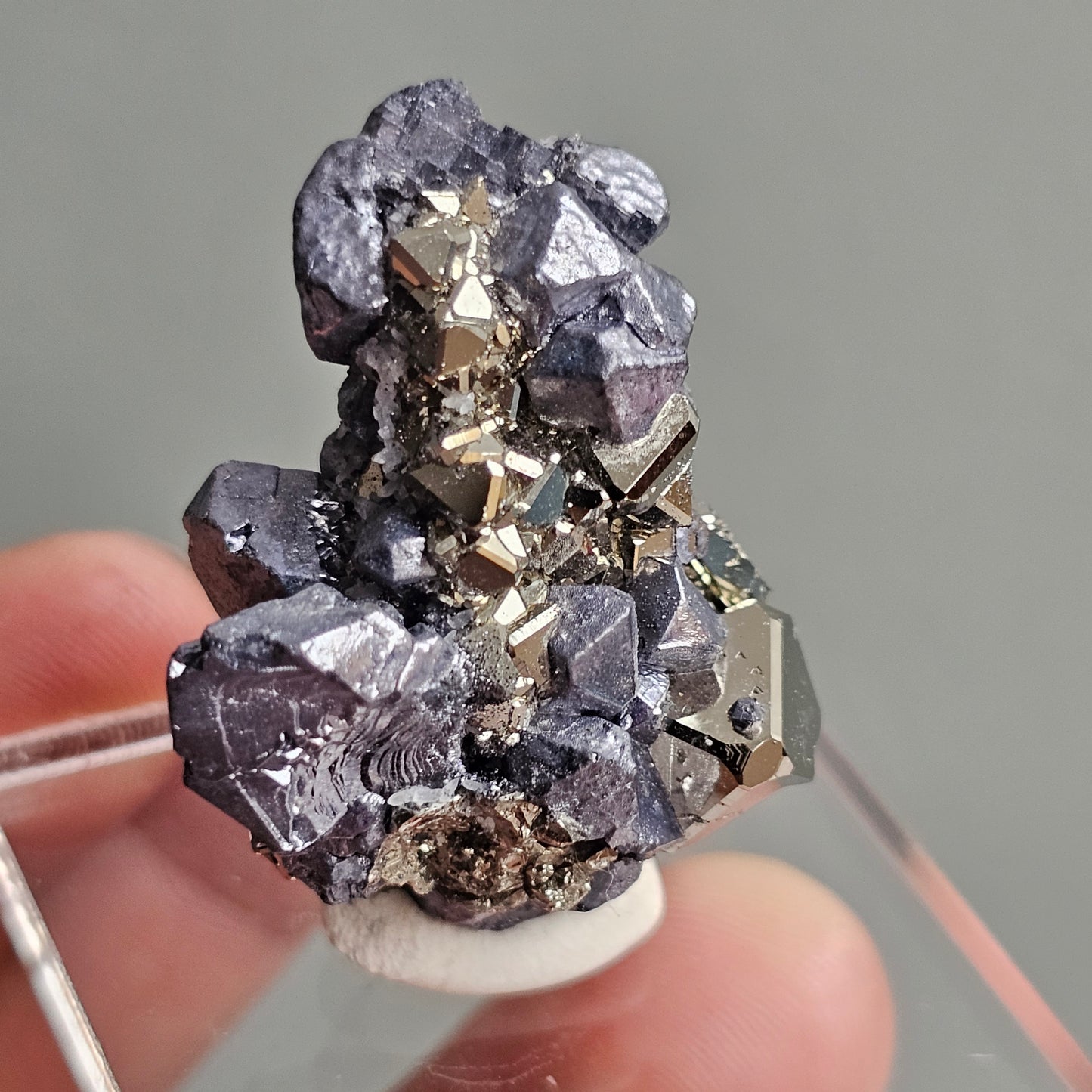 Galena with Pyrite octahedral