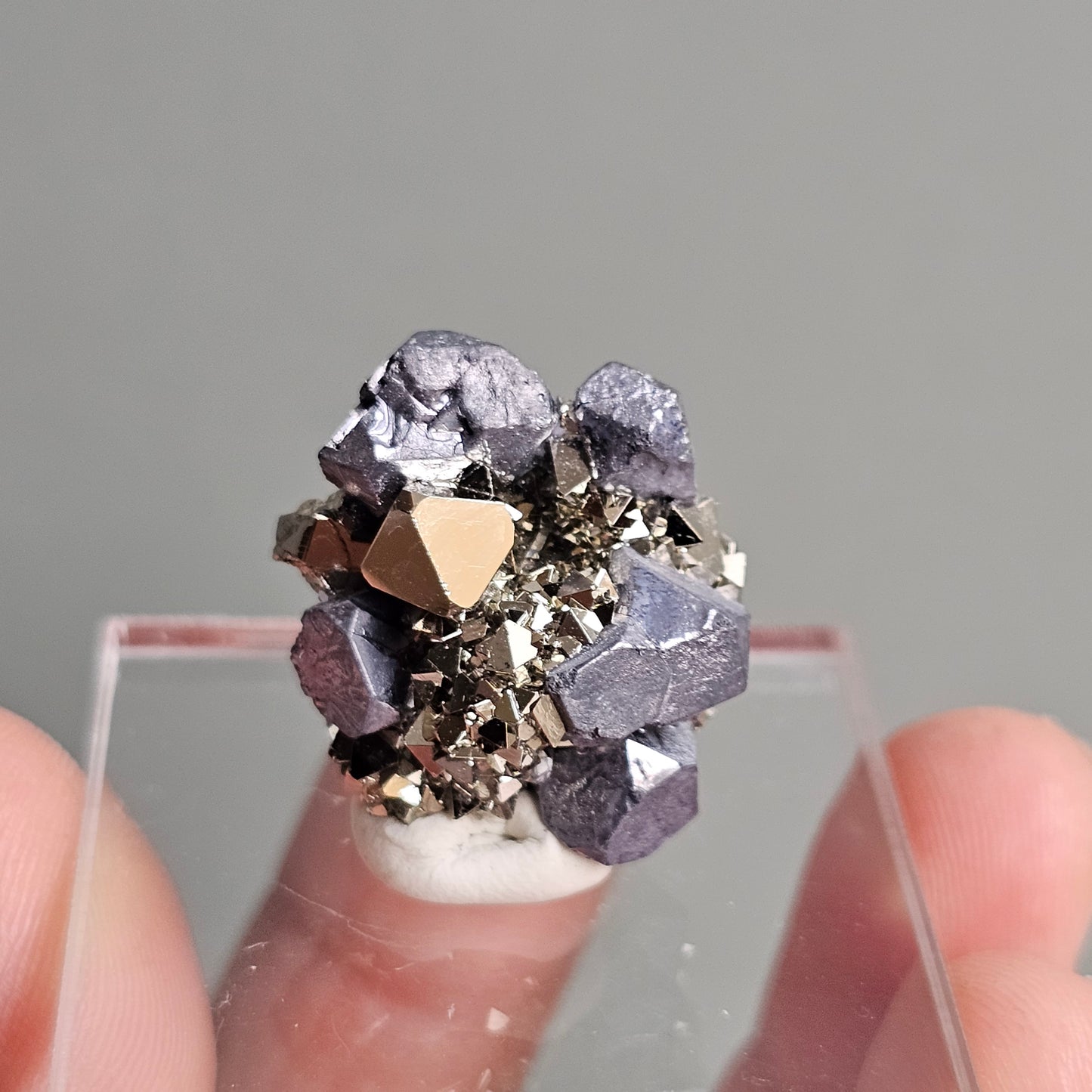 Galena with Pyrite octahedral