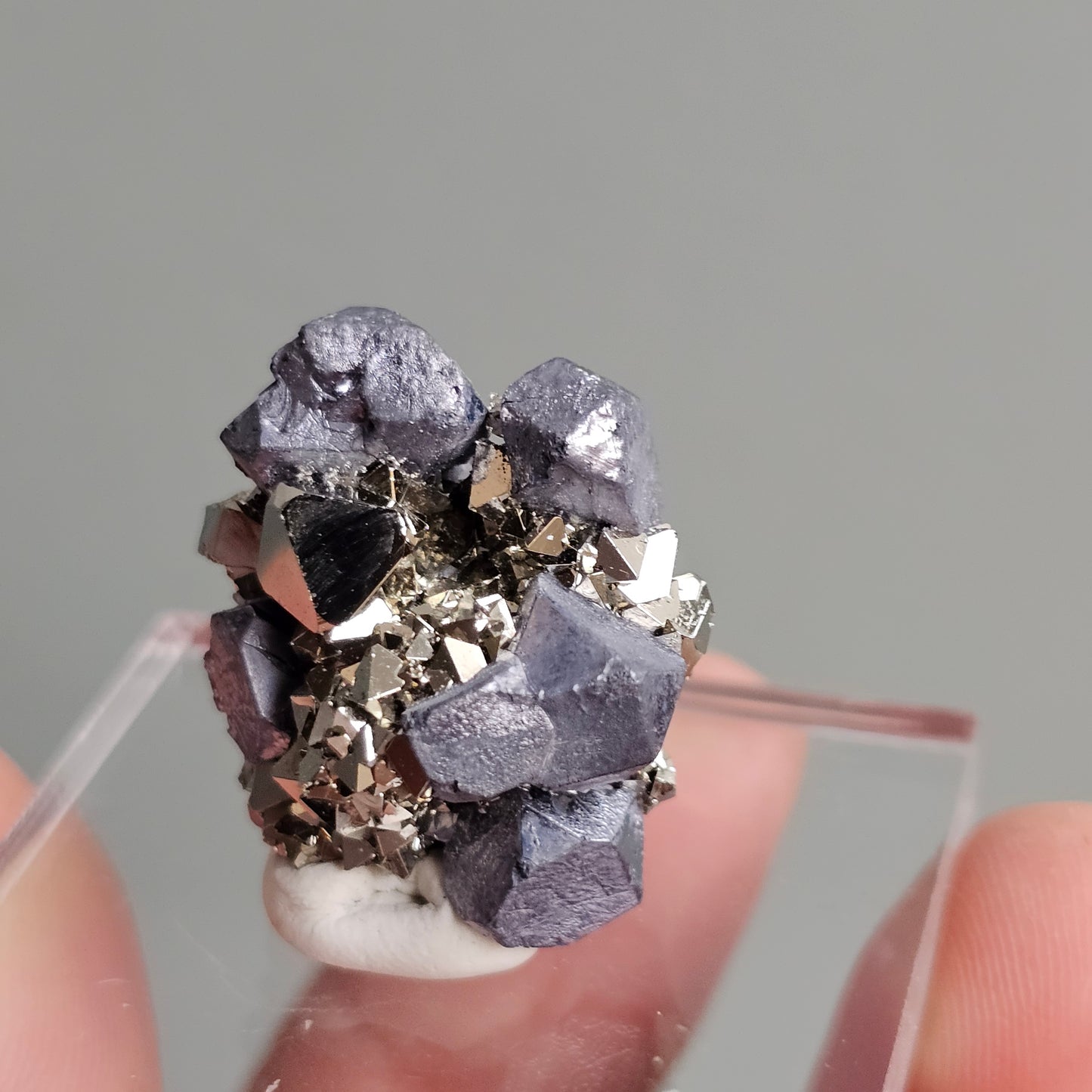 Galena with Pyrite octahedral