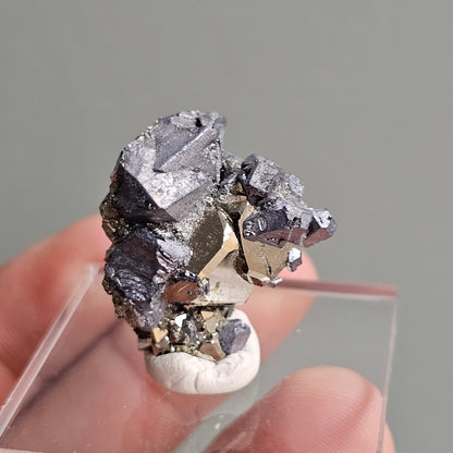 Galena with Pyrite octahedral