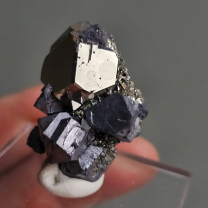 Galena with Pyrite octahedral