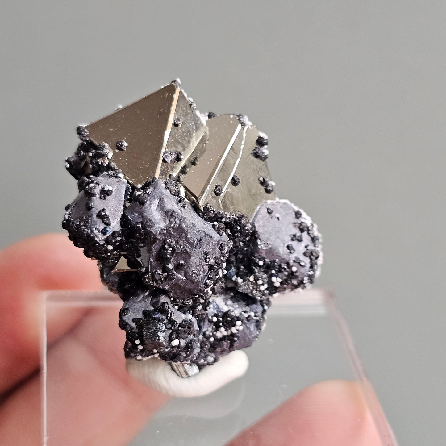 Galena with Pyrite octahedral