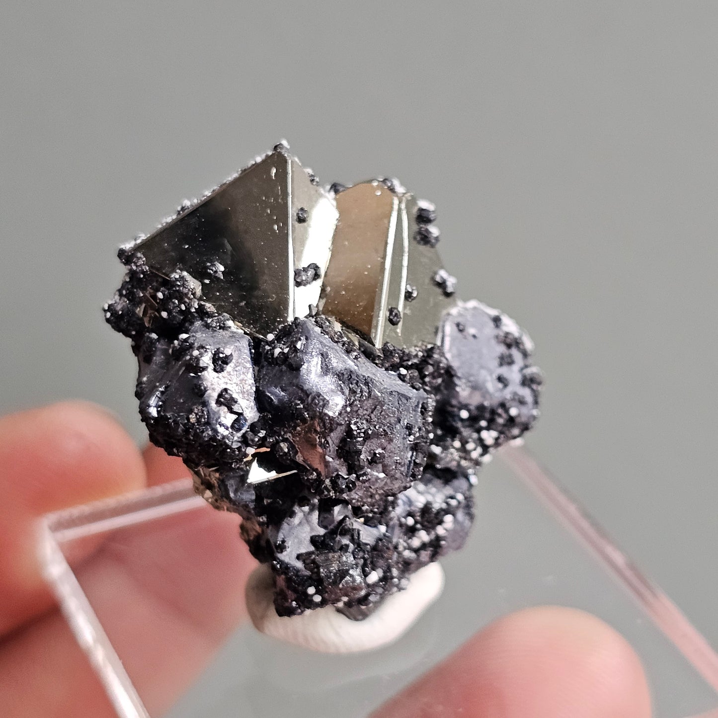 Galena with Pyrite octahedral