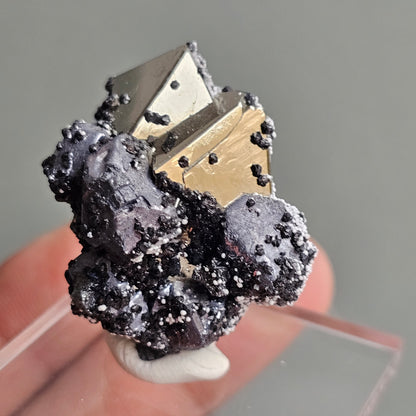 Galena with Pyrite octahedral