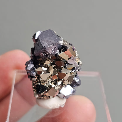 Galena with Pyrite octahedral