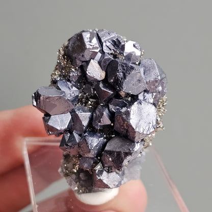 Galena with Pyrite octahedral