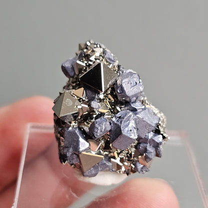 Galena with Pyrite octahedral