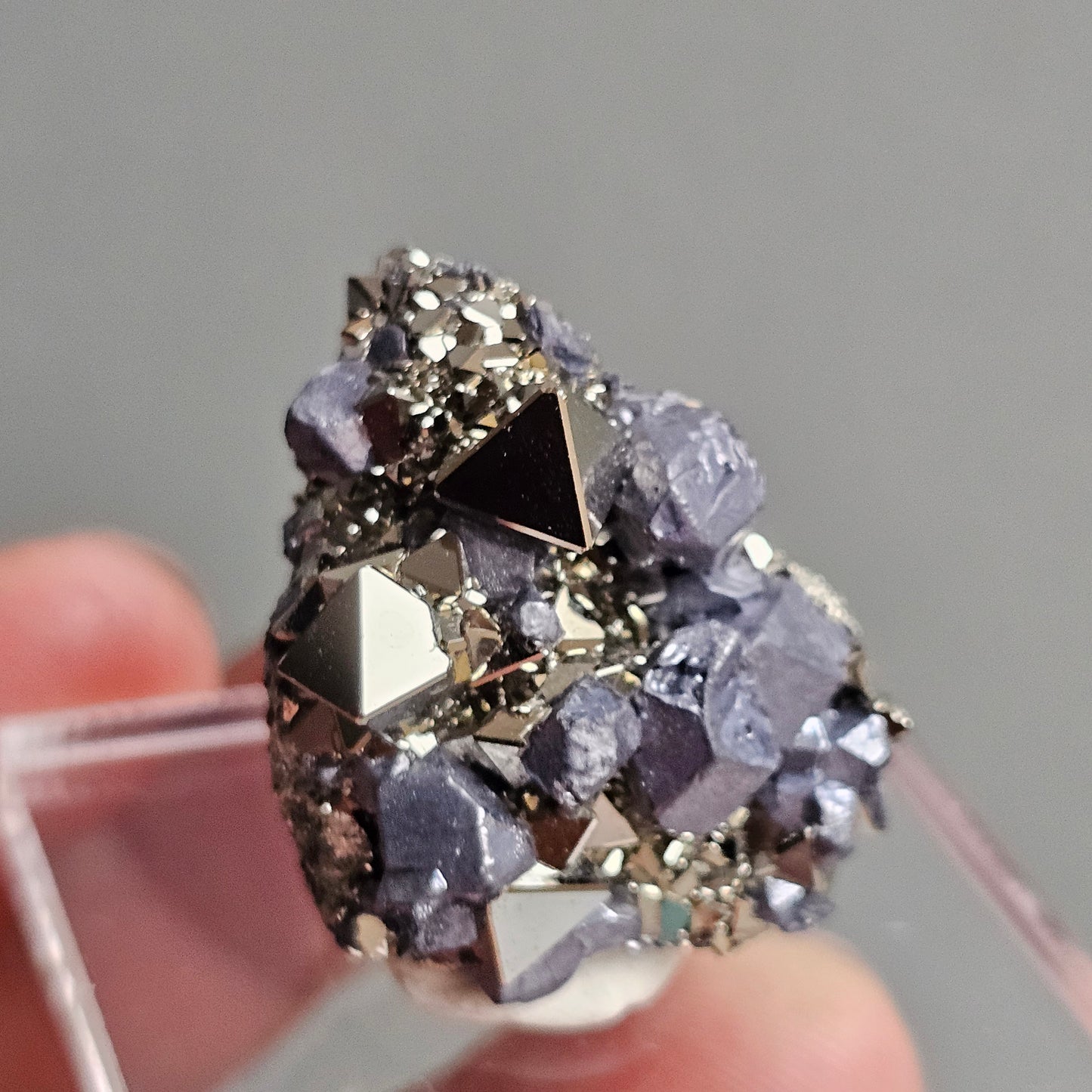 Galena with Pyrite octahedral