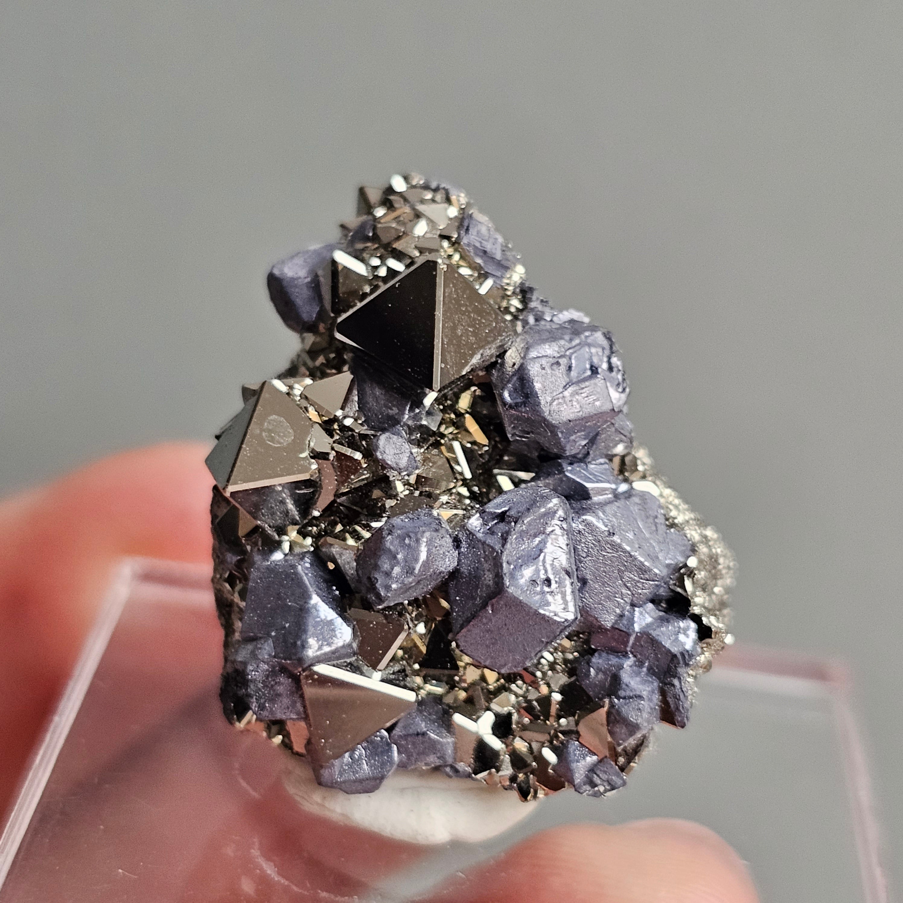Galena with Pyrite octahedral