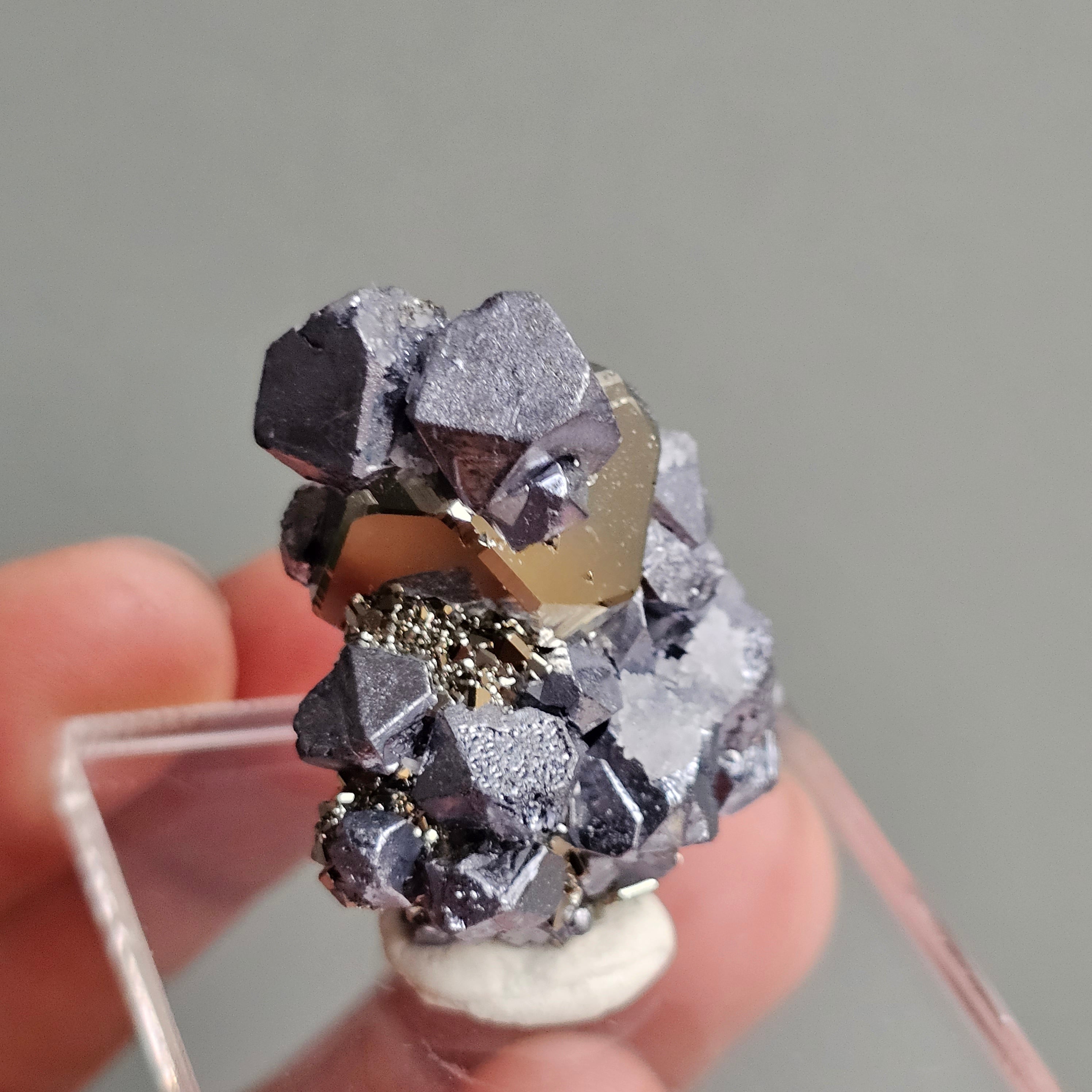 Galena with Pyrite octahedral