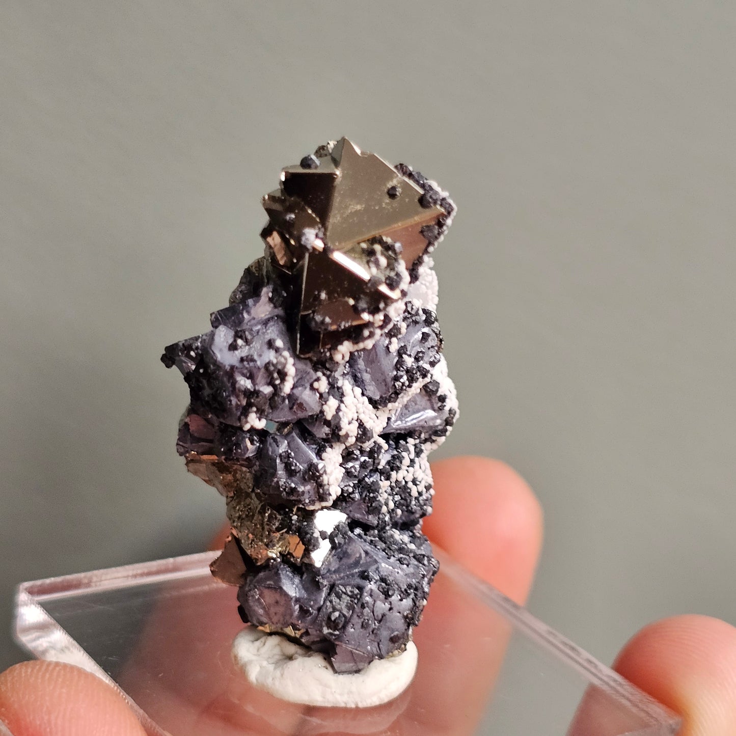 Galena with Pyrite octahedral