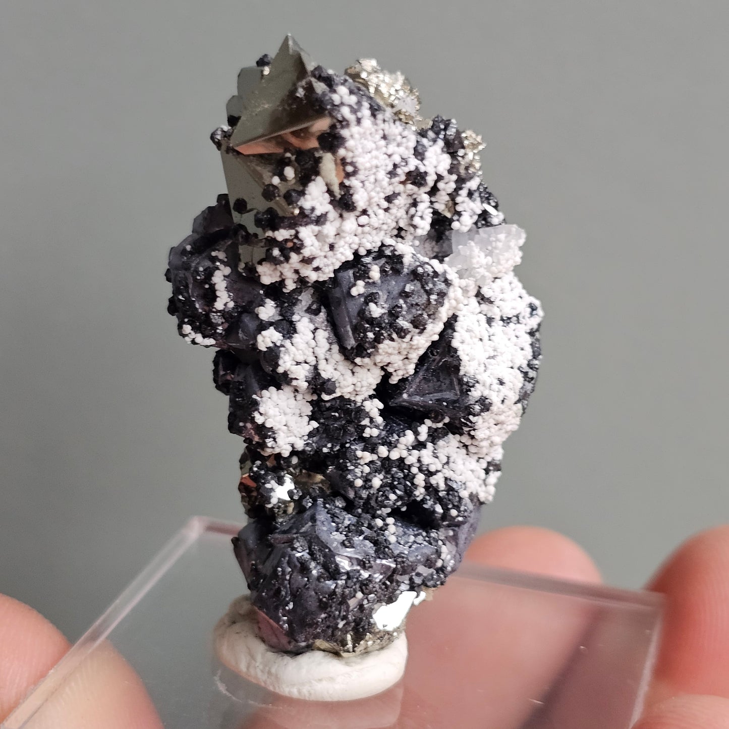 Galena with Pyrite octahedral