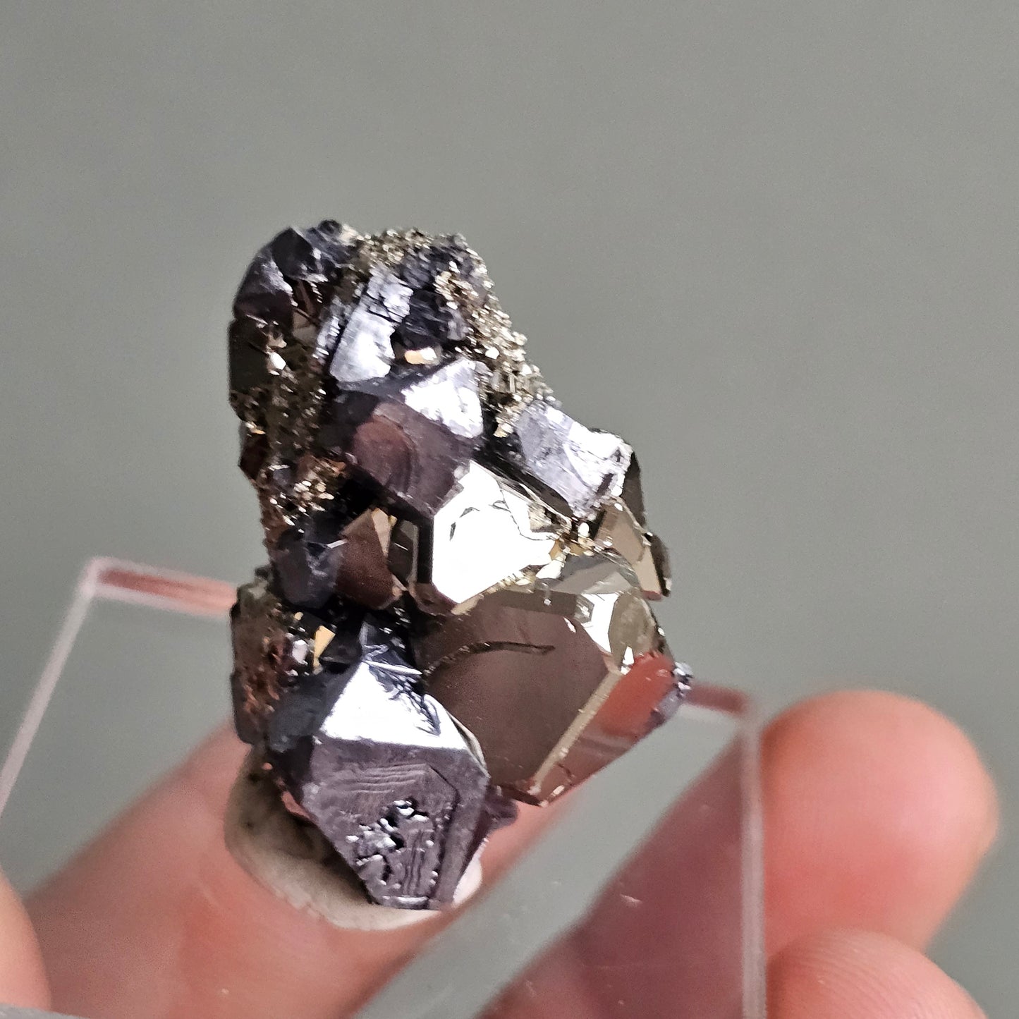 Galena with Pyrite octahedral