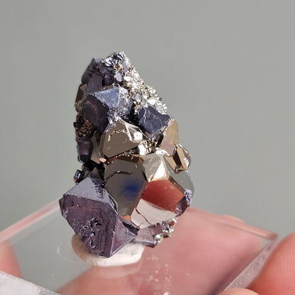 Galena with Pyrite octahedral