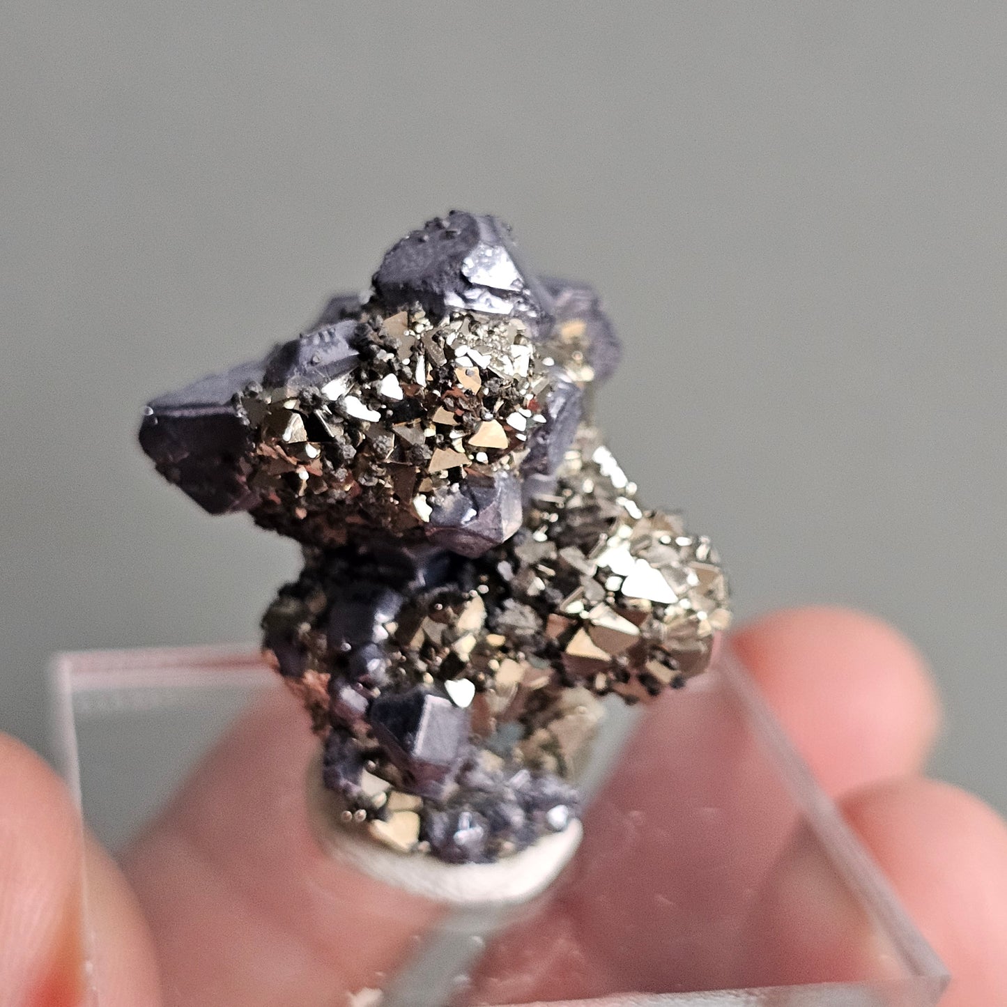 Galena with Pyrite octahedral