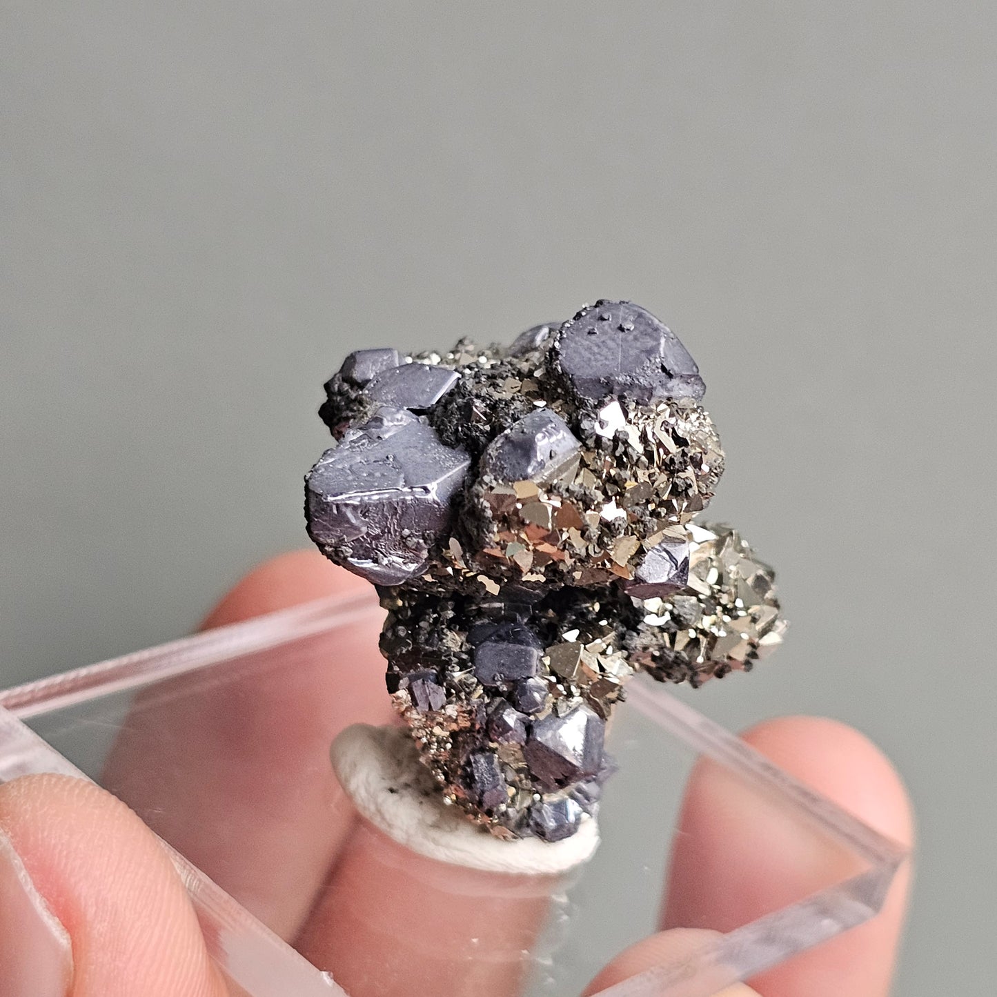 Galena with Pyrite octahedral