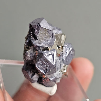 Galena with Pyrite octahedral