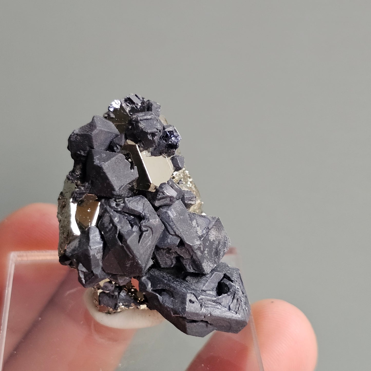 Galena with Pyrite octahedral