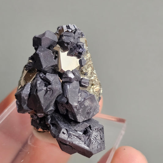 Galena with Pyrite octahedral