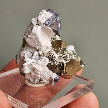 Galena with Pyrite octahedral