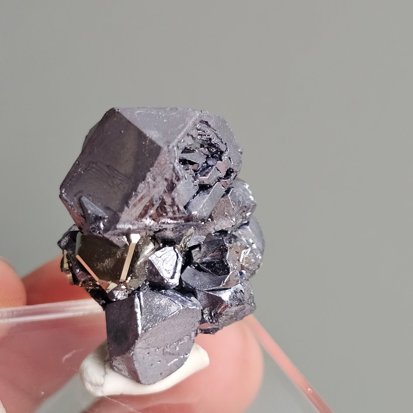 Galena with Pyrite octahedral