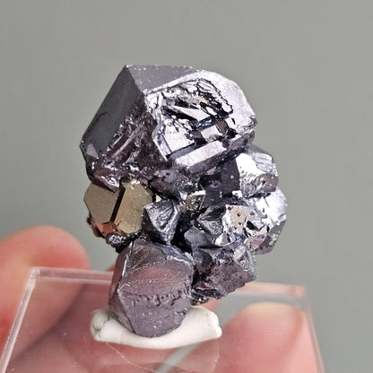 Galena with Pyrite octahedral