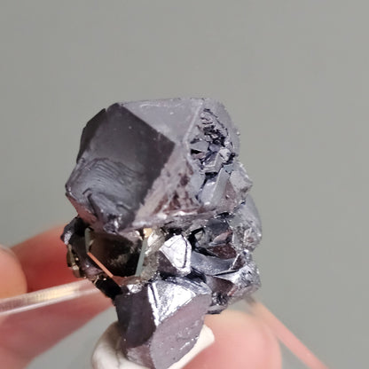 Galena with Pyrite octahedral